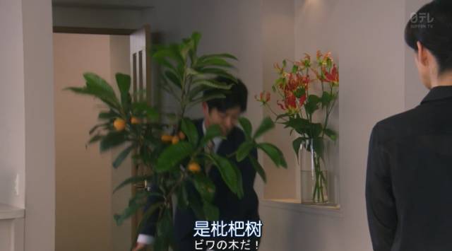 日剧卖房子的女人销售套路_房产中介销售技巧_极品女房东日剧(无删减)合集