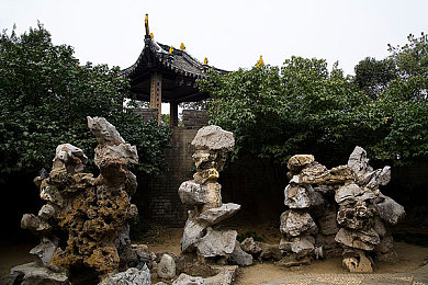 吃瓜51吃的朝阳群众｜朝阳群众瓜田大战：网络舆论风向标-2